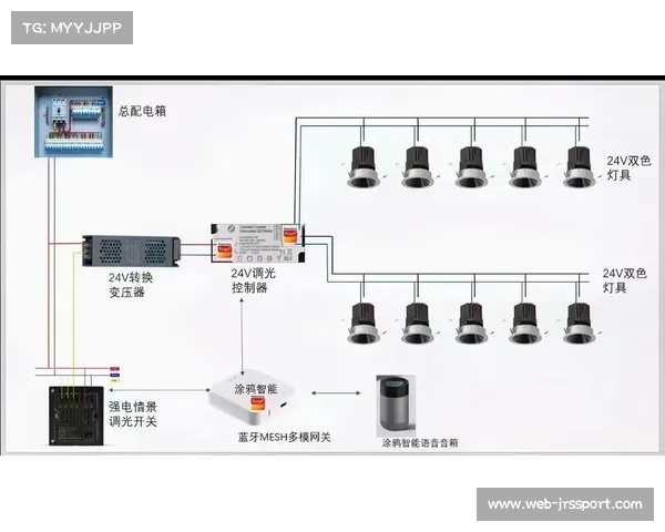 体育场馆照明系统智能调节 兼顾节能与体验